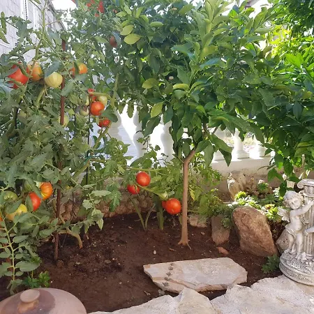 Appartement Kuca Iliria *